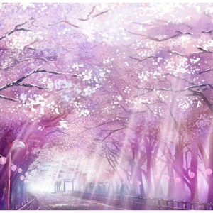 你曾这样问过（清明樱花祭填词）