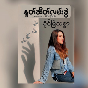 နှုတ်ဆိတ်လမ်းခွဲ