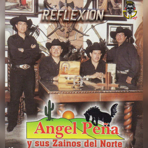 Reflexión
