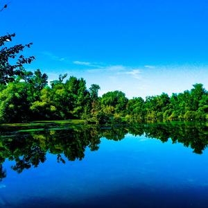 Reflect (feat. LYHE)