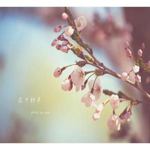 花开那年（毕业季）