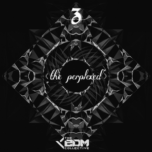The Perplexed (Original Mix)
