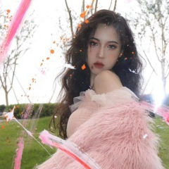 迪士尼在逃公主战歌