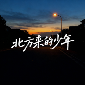 北方来的少年