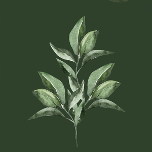 Save the Rush Light On