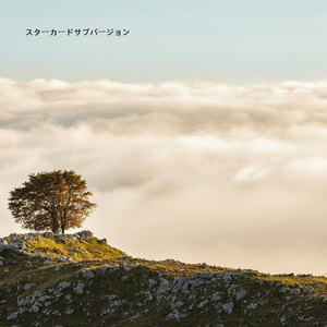 天空シラヌスの雨