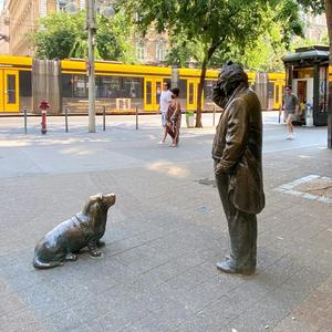 Columbo neje