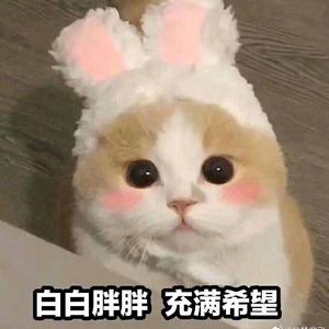 画皮（抖音片段）（翻自 纸砚）