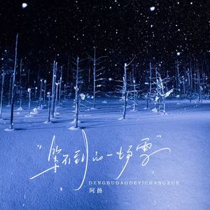 等不到的一场雪