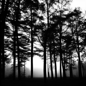 NUNYA (Cover)