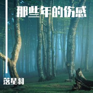 谁在意我留下的泪