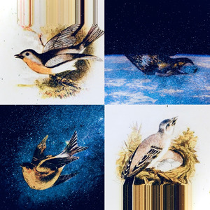 Parking Lot Astronautical