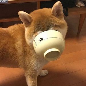动感