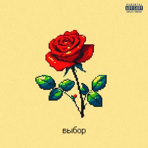 Выбор