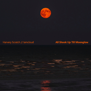 Never Been In Love Before