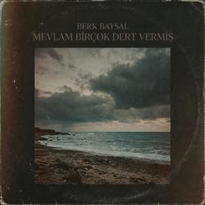 Mevlam Birçok Dert Vermiş