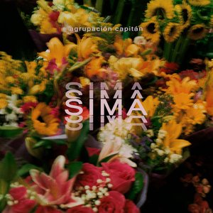 Sima