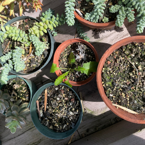 Nightfall and the Sea