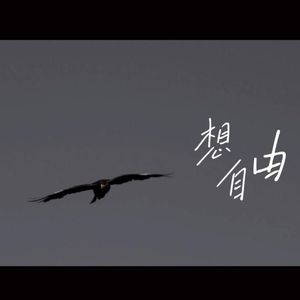 想自由（cover 林宥嘉）