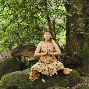 Forest's Silence, Nature's Meditation Chamber