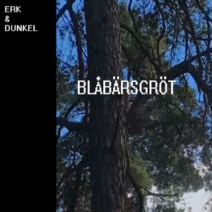 Blåbärsgröt