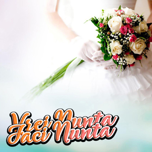 Fata Mea Floare De Vara