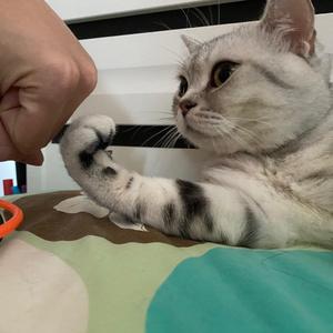 说好的幸福呢（原唱 周杰伦）