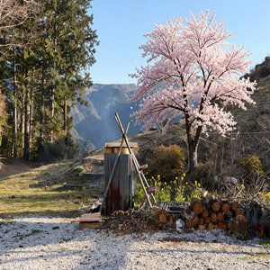 私を知ってください