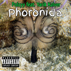 Phoronida