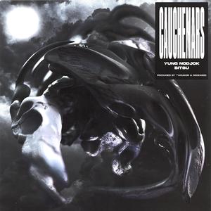 Cauchemars (feat. Bitsu)