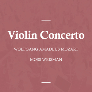 Violin Concerto in D Major, K. 218: I. Allegro