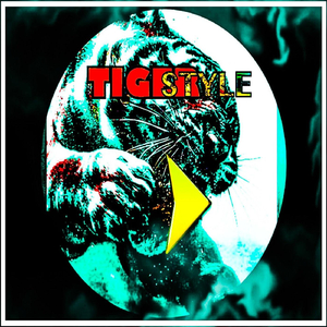 Tiger Style