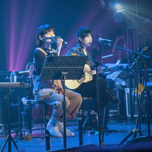 云烟成雨 （cover：房东的猫）