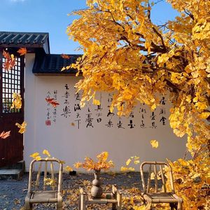 风落木，岁方秋（钢琴）