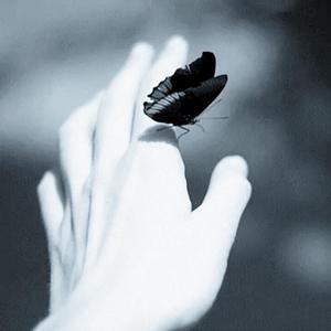 虎口脱险（张磊版）