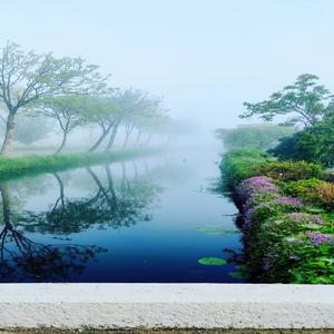 Mist