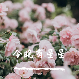 一开始你就很特别（翻自 江辰）