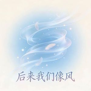 后来我们像风