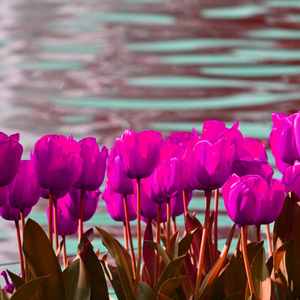 柔和的梦想时刻