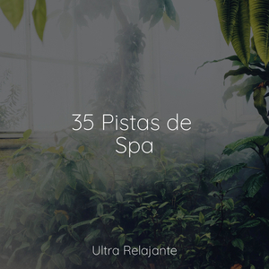 Una Probada A La Tranquilidad