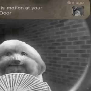 PERFECT (feat. Lil Var)