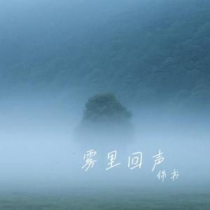 雾里回声