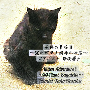 梅雨の嵐と戦う猫～断章作品３８番