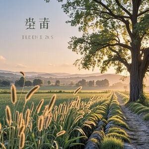 田埂风
