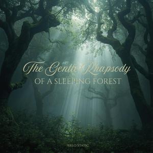 Beneath the Canopy of a Static Sky