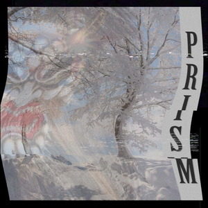 Prism