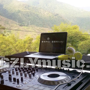 慢音重炮(DJ版)