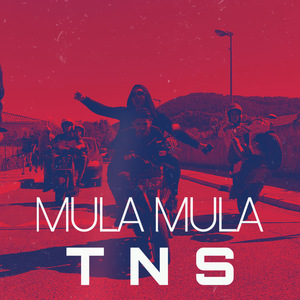 Mula Mula