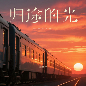 归途的光