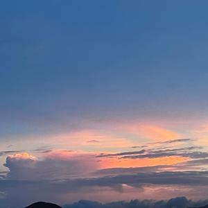 没能成为你的白马